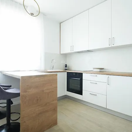 Luminous Living Apartment